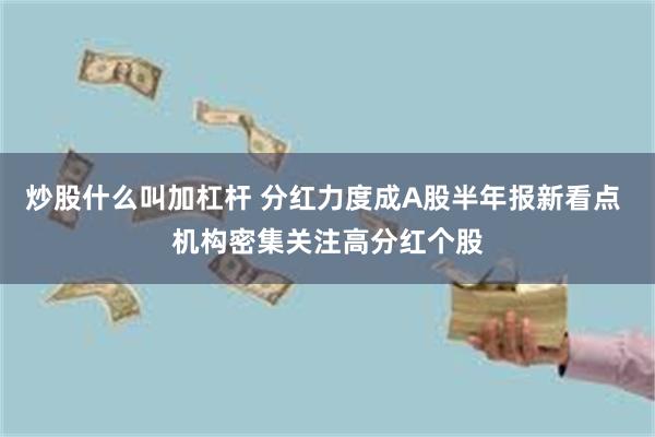 炒股什么叫加杠杆 分红力度成A股半年报新看点 机构密集关注高分红个股