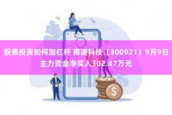 股票投资如何加杠杆 南凌科技（300921）9月9日主力资金净买入302.47万元