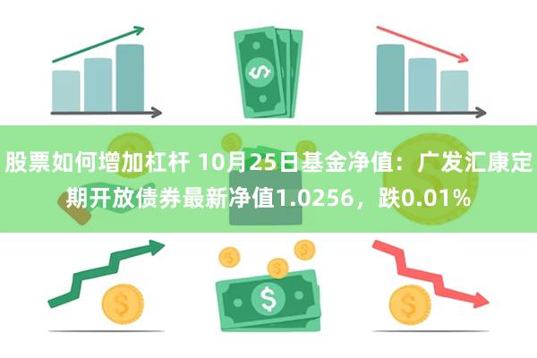 股票如何增加杠杆 10月25日基金净值：广发汇康定期开放债券最新净值1.0256，跌0.01%