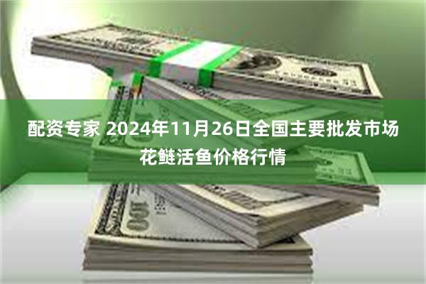 配资专家 2024年11月26日全国主要批发市场花鲢活鱼价格行情