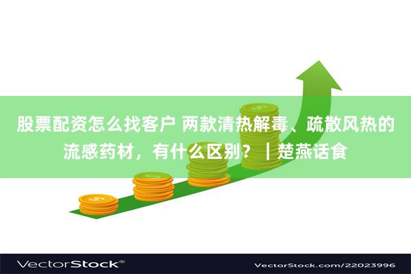 股票配资怎么找客户 两款清热解毒、疏散风热的流感药材，有什么区别？｜楚燕话食