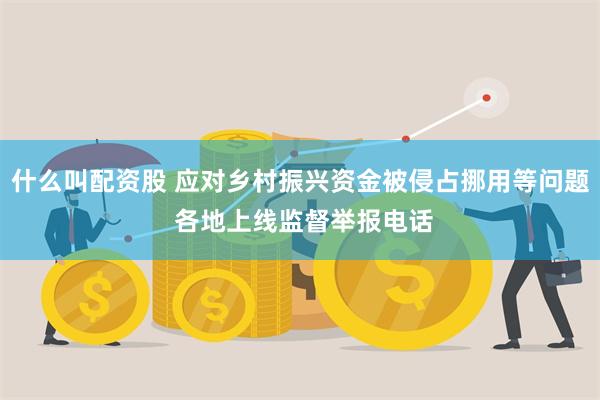 什么叫配资股 应对乡村振兴资金被侵占挪用等问题 各地上线监督举报电话