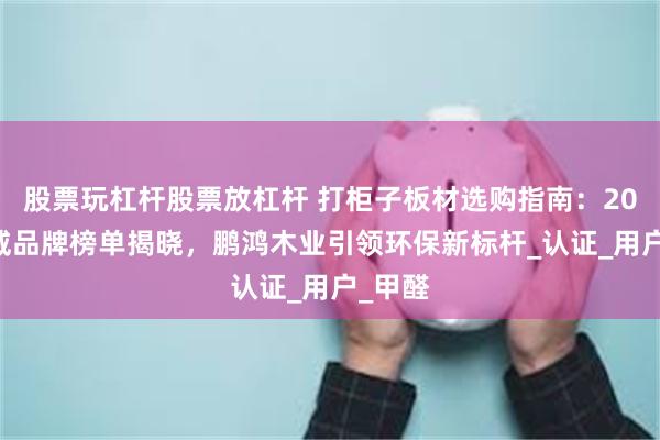 股票玩杠杆股票放杠杆 打柜子板材选购指南：2025权威品牌榜单揭晓，鹏鸿木业引领环保新标杆_认证_用户_甲醛